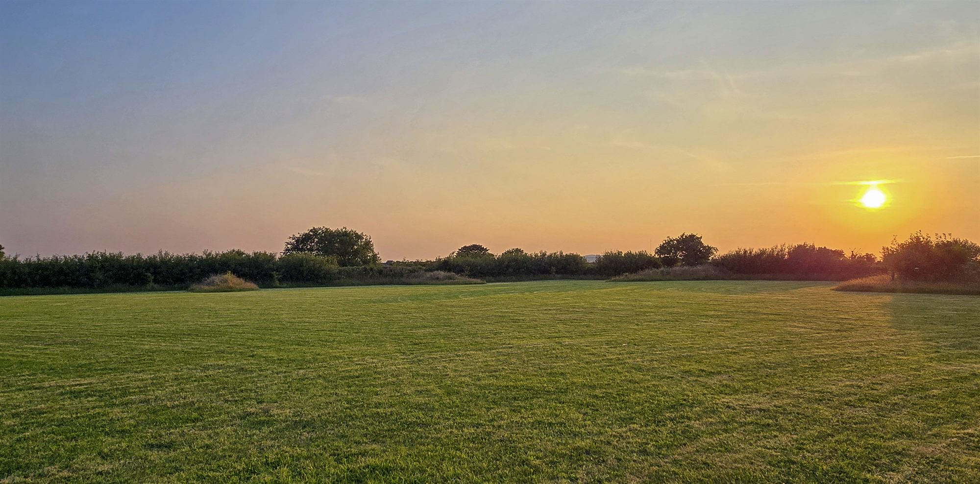 A wide grass camping pitch area bordered by meadow planting at Carreg Gamu Glamping.